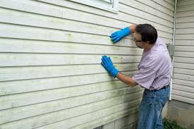 Affordable Siding Repair and Maintenance Services in Edina, MO